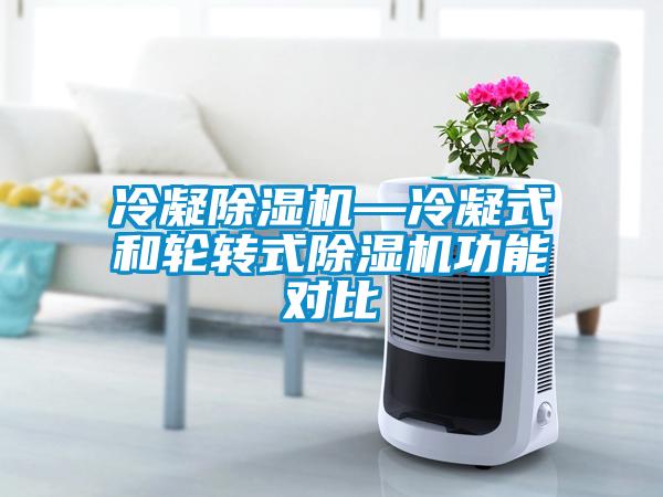 冷凝除濕機(jī)—冷凝式和輪轉(zhuǎn)式除濕機(jī)功能對(duì)比