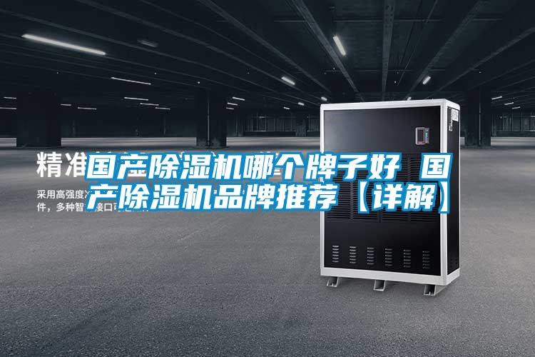 國產除濕機哪個牌子好 國產除濕機品牌推薦【詳解】