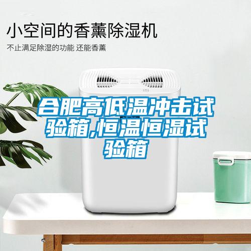 合肥高低溫沖擊試驗箱,恒溫恒濕試驗箱