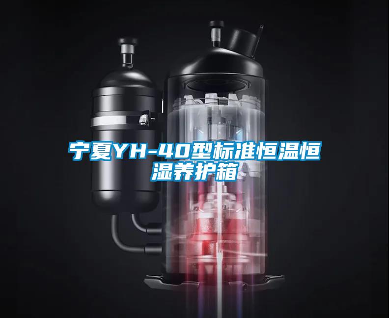 寧夏YH-40型標準恒溫恒濕養護箱