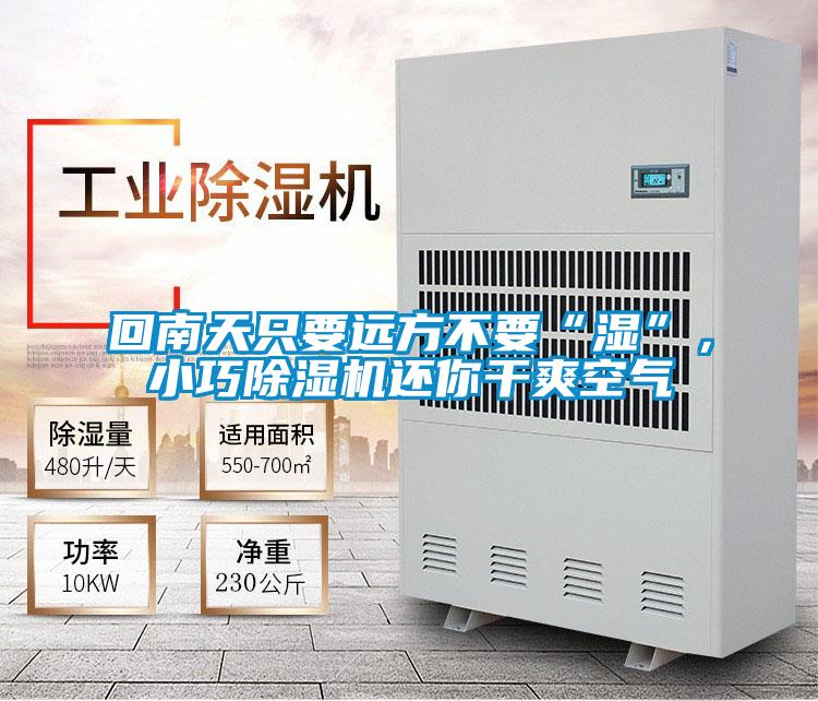 回南天只要遠(yuǎn)方不要“濕”，小巧除濕機(jī)還你干爽空氣