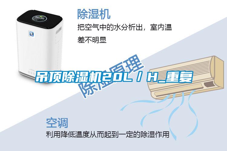 吊頂除濕機20L／H_重復