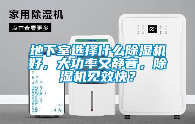 地下室選擇什么除濕機好，大功率又靜音，除濕機見效快？