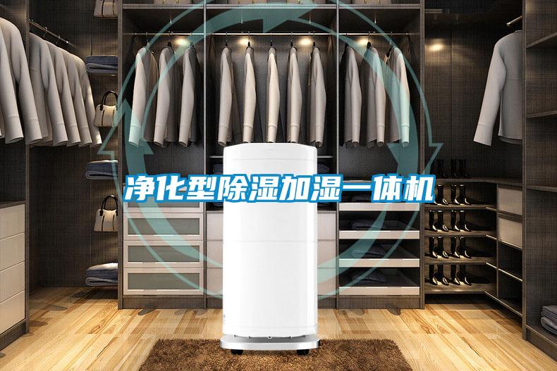凈化型除濕加濕一體機