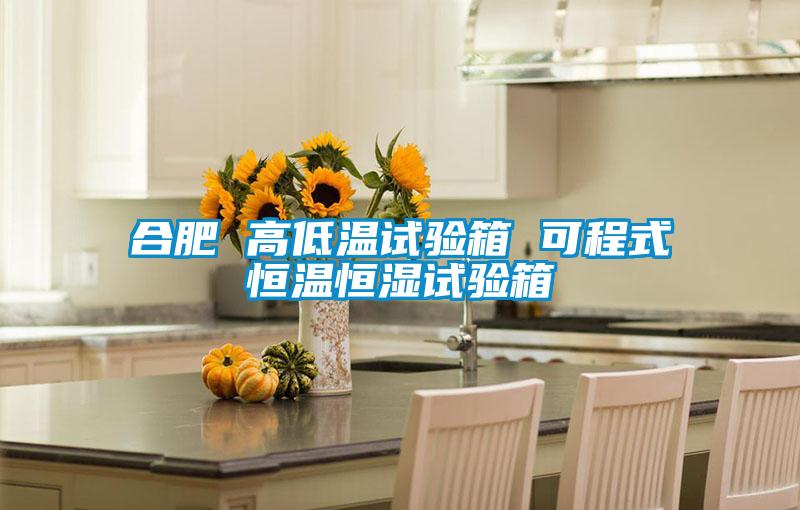 合肥 高低溫試驗箱 可程式恒溫恒濕試驗箱