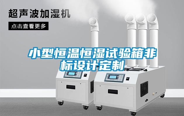 小型恒溫恒濕試驗箱非標設計定制