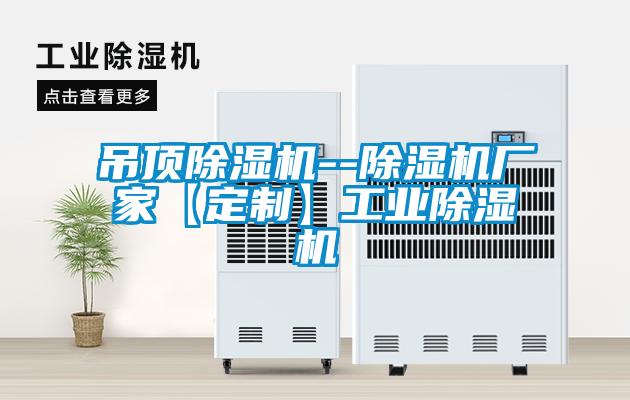 吊頂除濕機--除濕機廠家【定制】工業除濕機