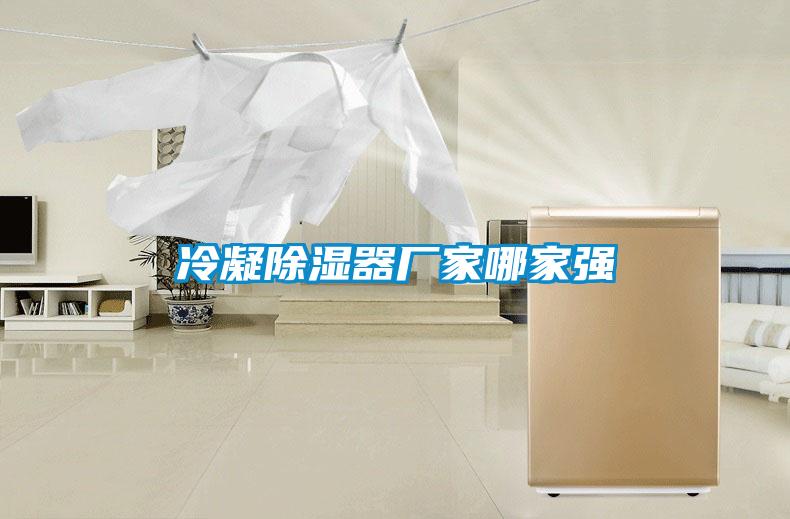冷凝除濕器廠家哪家強(qiáng)