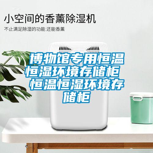 博物館專用恒溫恒濕環境存儲柜 恒溫恒濕環境存儲柜