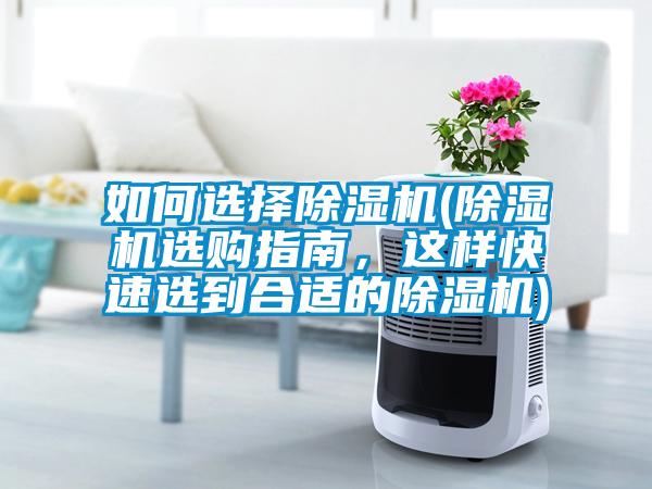 如何選擇除濕機(除濕機選購指南，這樣快速選到合適的除濕機)