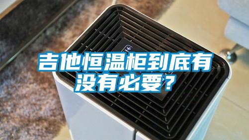 吉他恒溫柜到底有沒有必要？