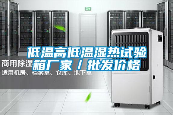 低溫高低溫濕熱試驗箱廠家／批發價格