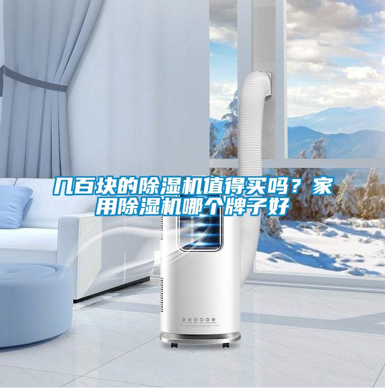幾百塊的除濕機值得買嗎？家用除濕機哪個牌子好