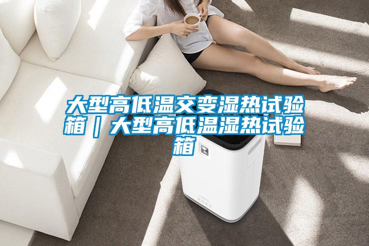 大型高低溫交變濕熱試驗(yàn)箱｜大型高低溫濕熱試驗(yàn)箱