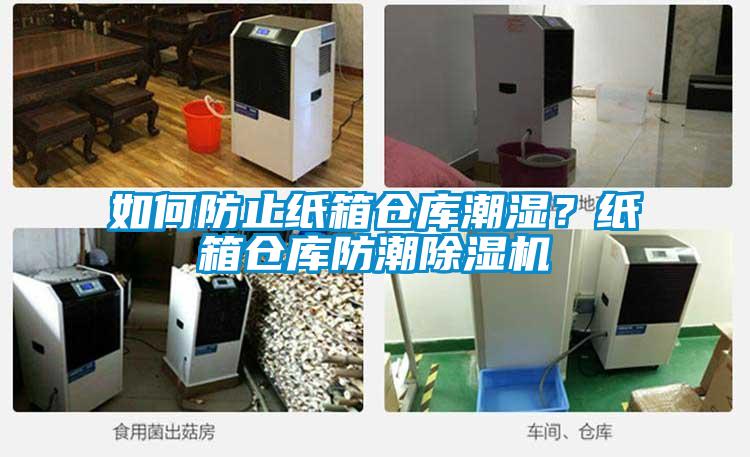 如何防止紙箱倉庫潮濕？紙箱倉庫防潮除濕機