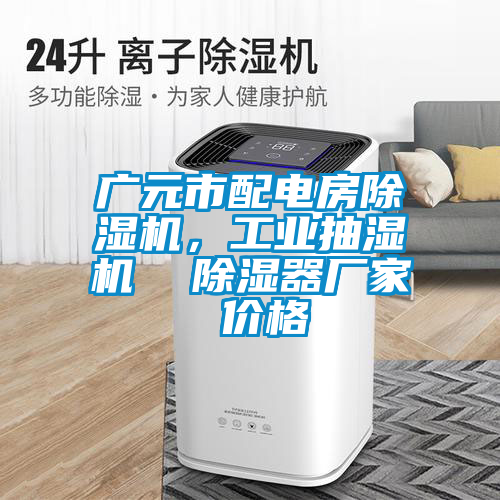 廣元市配電房除濕機，工業抽濕機  除濕器廠家 價格
