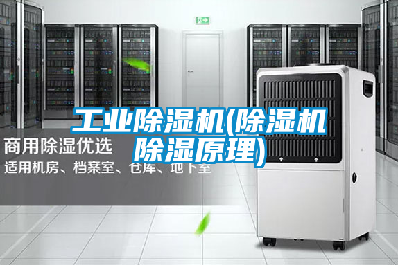 工業除濕機(除濕機除濕原理)
