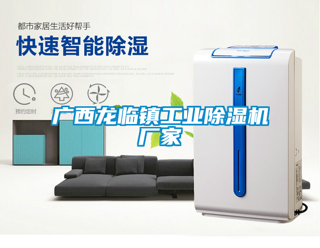 廣西龍臨鎮(zhèn)工業(yè)除濕機(jī)廠家