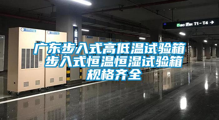 廣東步入式高低溫試驗箱 步入式恒溫恒濕試驗箱 規格齊全