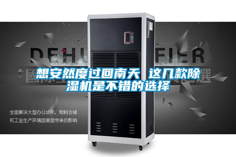 想安然度過回南天 這幾款除濕機是不錯的選擇