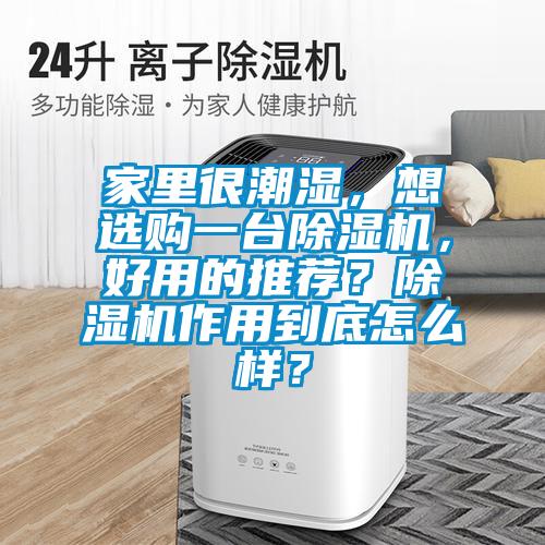 家里很潮濕，想選購(gòu)一臺(tái)除濕機(jī)，好用的推薦？除濕機(jī)作用到底怎么樣？