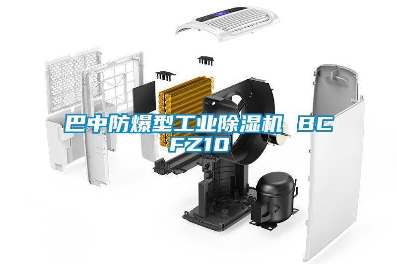 巴中防爆型工業除濕機 BCFZ10