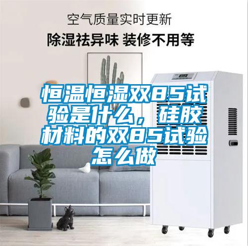 恒溫恒濕雙85試驗是什么，硅膠材料的雙85試驗怎么做