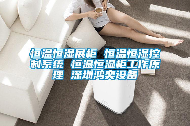 恒溫恒濕展柜 恒溫恒濕控制系統(tǒng) 恒溫恒濕柜工作原理 深圳鴻奕設(shè)備