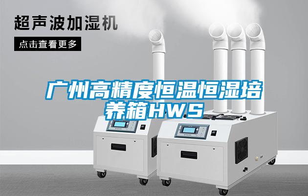 廣州高精度恒溫恒濕培養箱HWS