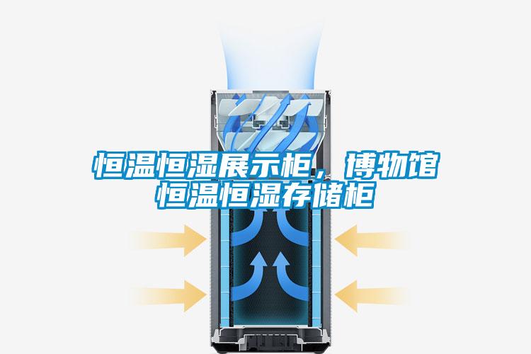 恒溫恒濕展示柜，博物館恒溫恒濕存儲柜