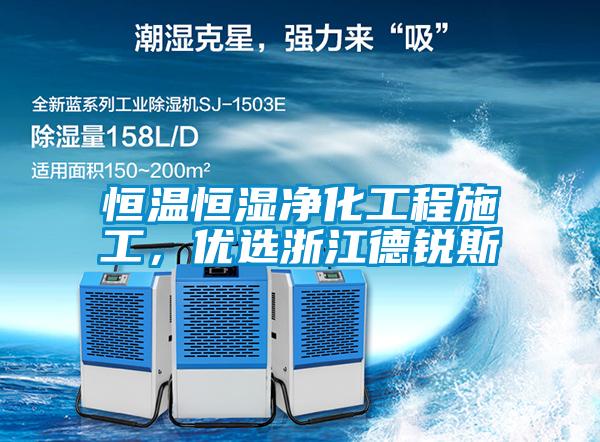 恒溫恒濕凈化工程施工，優選浙江德銳斯