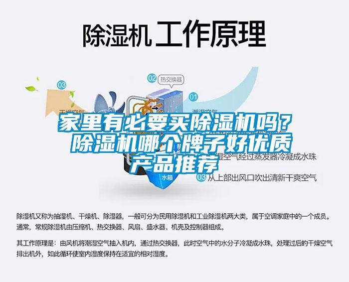 家里有必要買除濕機嗎？ 除濕機哪個牌子好優(yōu)質產(chǎn)品推薦