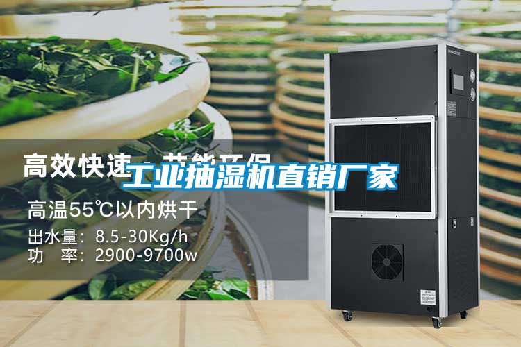 工業(yè)抽濕機(jī)直銷廠家