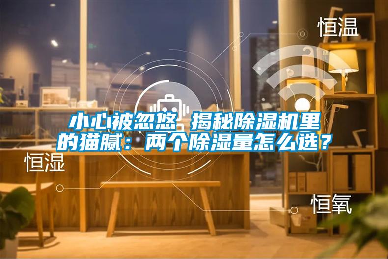 小心被忽悠 揭秘除濕機(jī)里的貓膩：兩個(gè)除濕量怎么選？