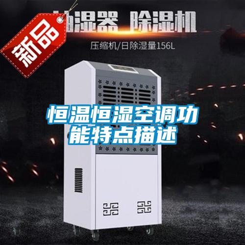 恒溫恒濕空調(diào)功能特點(diǎn)描述