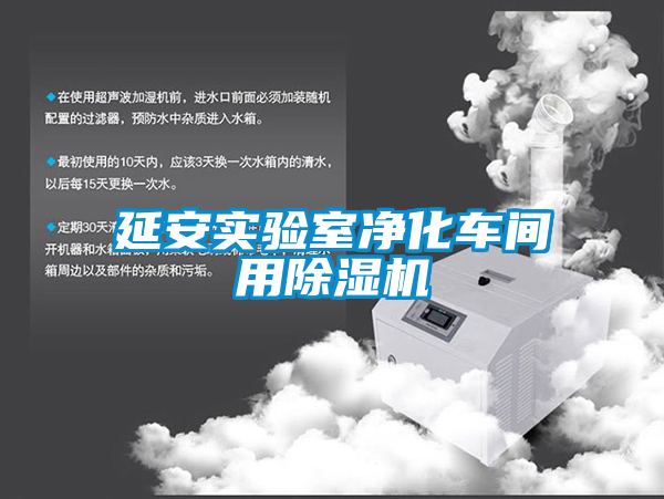 延安實驗室凈化車間用除濕機