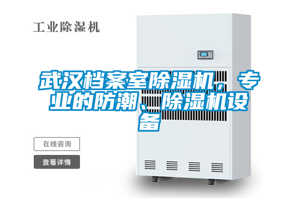 武漢檔案室除濕機(jī)，專業(yè)的防潮、除濕機(jī)設(shè)備