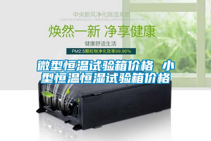 微型恒溫試驗箱價格 小型恒溫恒濕試驗箱價格