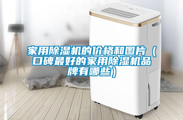 家用除濕機的價格和圖片（口碑最好的家用除濕機品牌有哪些）