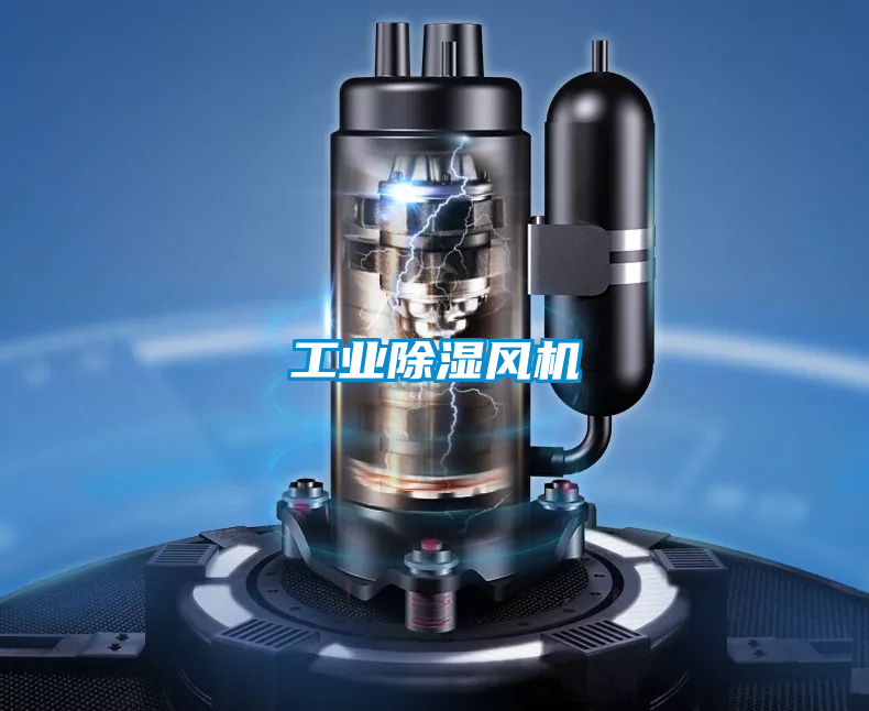 工業(yè)除濕風機