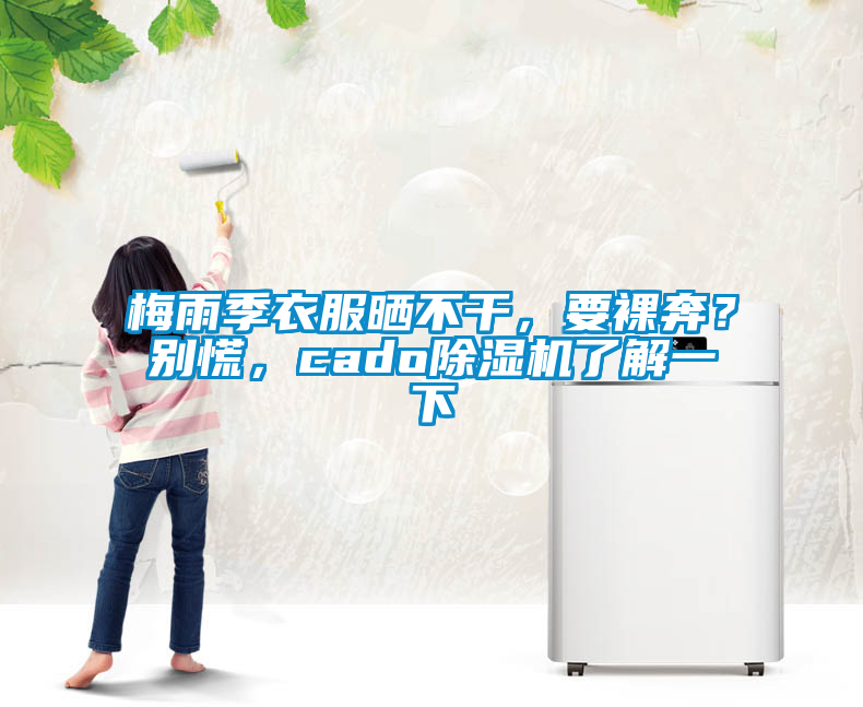 梅雨季衣服曬不干，要裸奔？別慌，cado除濕機了解一下