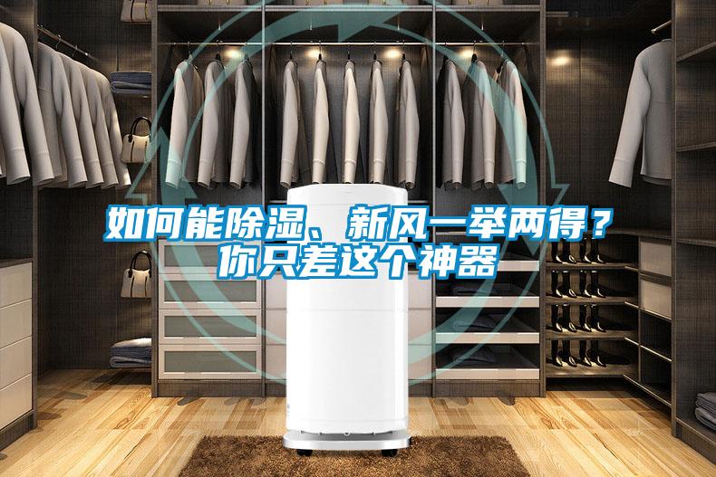 如何能除濕、新風一舉兩得？你只差這個神器