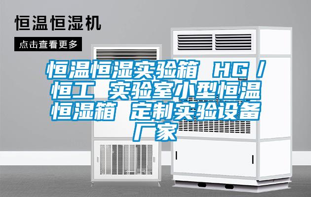恒溫恒濕實驗箱 HG／恒工 實驗室小型恒溫恒濕箱 定制實驗設備廠家