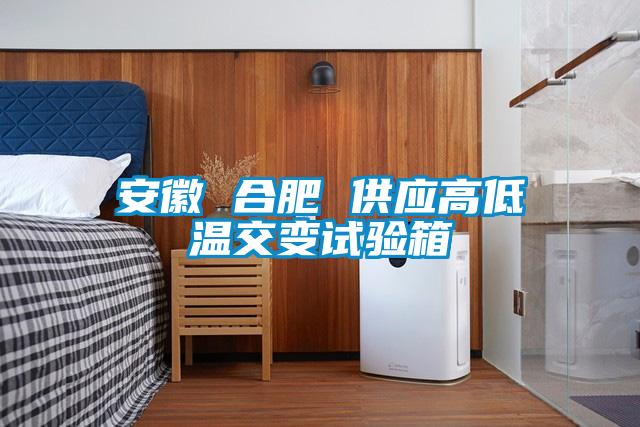 安徽 合肥 供應高低溫交變試驗箱
