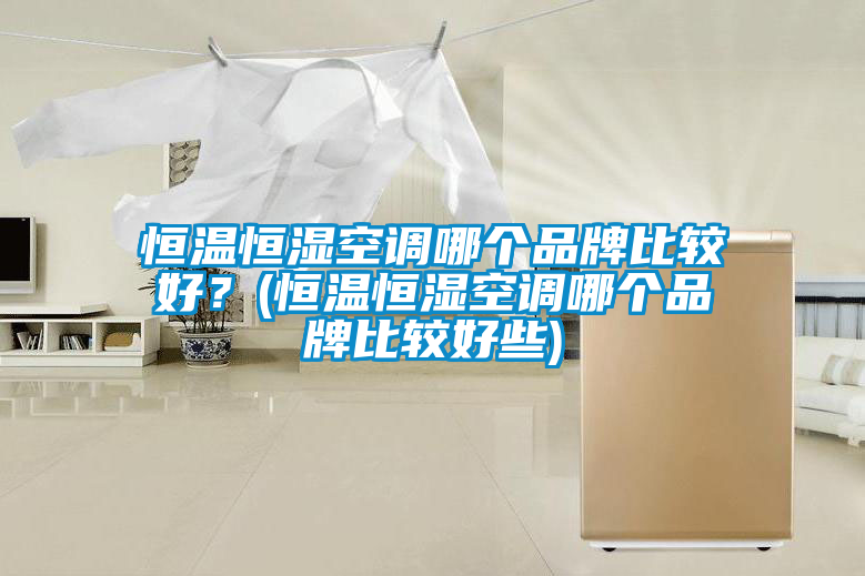恒溫恒濕空調哪個品牌比較好？(恒溫恒濕空調哪個品牌比較好些)