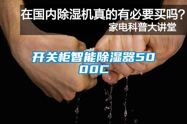 開關柜智能除濕器5000C