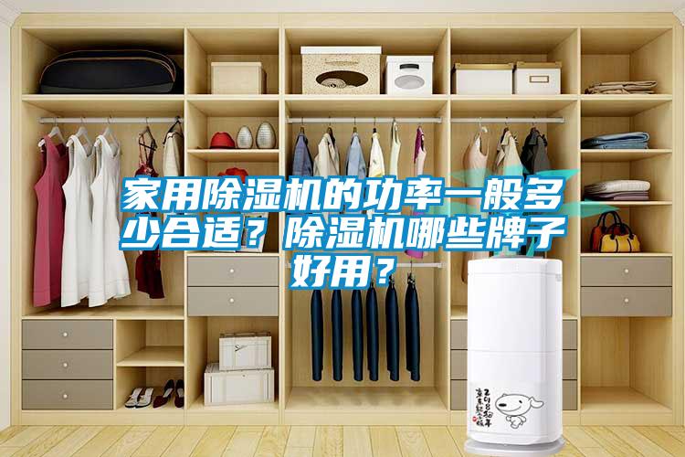 家用除濕機的功率一般多少合適？除濕機哪些牌子好用？