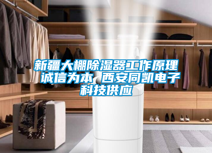 新疆大棚除濕器工作原理 誠信為本 西安同凱電子科技供應