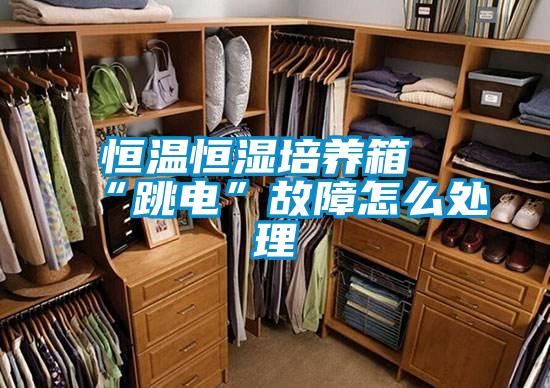 恒溫恒濕培養箱“跳電”故障怎么處理