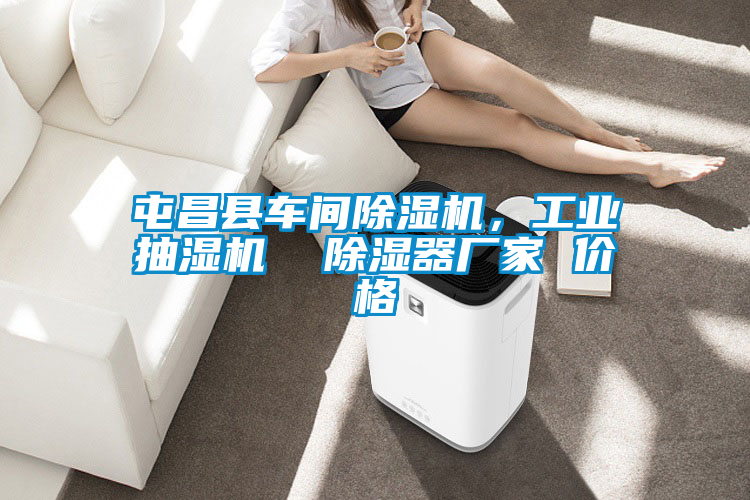 屯昌縣車間除濕機，工業(yè)抽濕機  除濕器廠家 價格